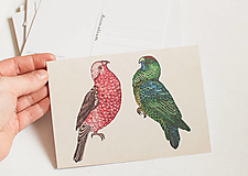 Papier - Pohľadnica "Animalium"- parrot - 14047709_