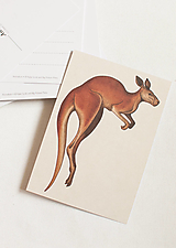Papier - Pohľadnica "Animalium"- kongaroo - 14047746_