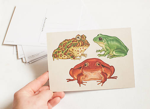Papier - Pohľadnica "Animalium"- Frog - 14047495_