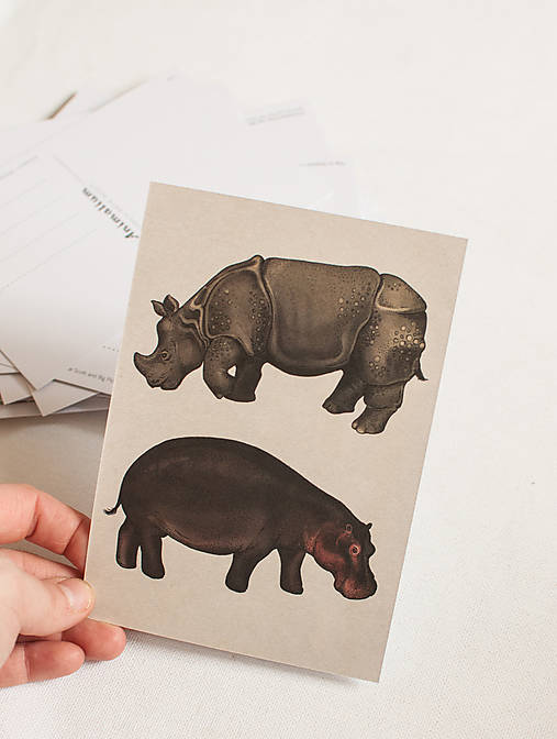 Pohľadnica "Animalium"- hippopotamus