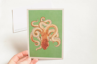 Papier - Pohľadnica "Animalium" Octopus - 14047307_