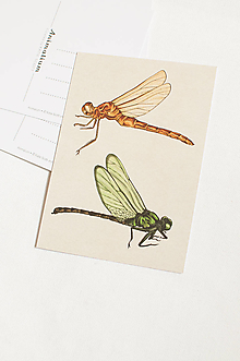 Papier - Pohľadnica "Animalium" dragonfly - 14047342_