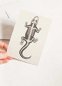Papier - Pohľadnica "Animalium"- Nile crocodile - 14047632_