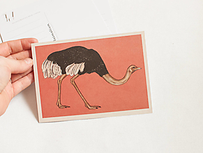 Papier - Pohľadnica "Animalium"- Common ostrich - 14047664_