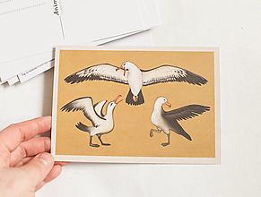 Papier - Pohľadnica "Animalium"- albatross - 14047668_