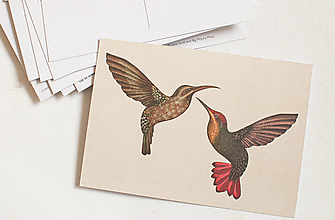 Papier - Pohľadnica "Animalium"- hummingbird - 14047706_