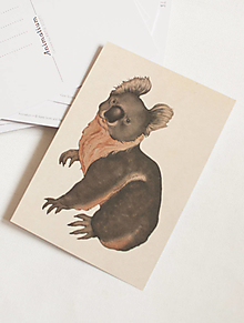 Papier - Pohľadnica "Animalium"- koala - 14047751_