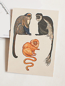 Papier - Pohľadnica "Animalium"- monkey - 14047763_