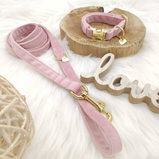 Pre zvieratá - Baxie LIGHT PINK velvet, púdrovo ružový zamatový handmade obojok, vodítko pre psa - 14053523_