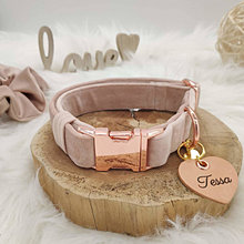 Pre zvieratá - Baxie handmade powder pink velvet, púdrovo ružový zamatový obojok, mašľa pre psa, zamatová gumička ružová - 14053420_