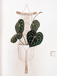 Dekorácie - Makramé držiak na kvetináč // Rasca (natural dĺžka 75cm) - 14064600_