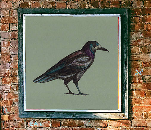 Obrazy - Havran obraz akvarel výtlačok (print) - 14072665_