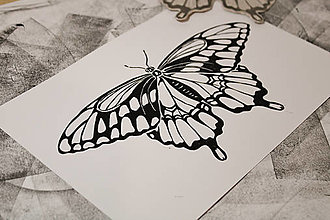Grafika - Motýľ - linoryt print - 14073594_