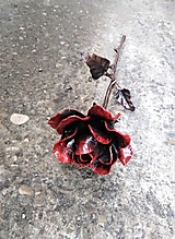 Dekorácie - kovaná ruža - červená - 14081662_