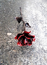 kovaná ruža - červená 