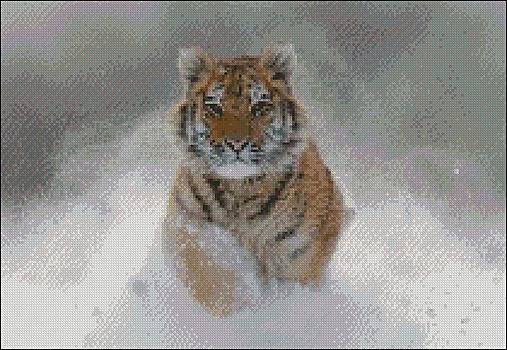 Návody a literatúra - A088 Tiger bengálsky - 14089780_