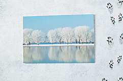 Papier - Pohľadnica "Winter Wonderland" - 14106619_