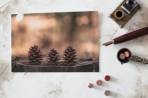Papier - Pohľadnica "Pinecones" - 14106220_