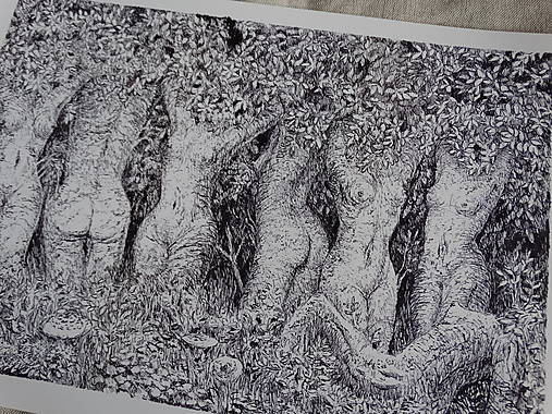 Kresby - Lesné víly - print - 14116652_
