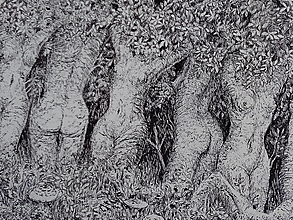 Kresby - Lesné víly - print - 14116652_