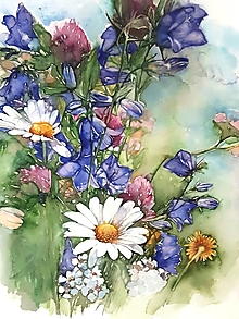Obrazy - Akvarelový obraz "Lúčne kvety" - 14132953_