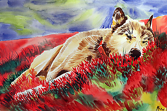 Obrazy - Wolf dreams - na objednávku - 14137427_
