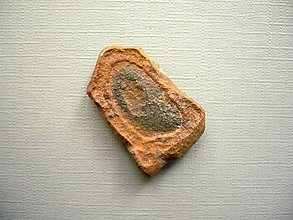 Minerály - Čokoláda - chalcedon 30 mm, č.24f - 14139789_
