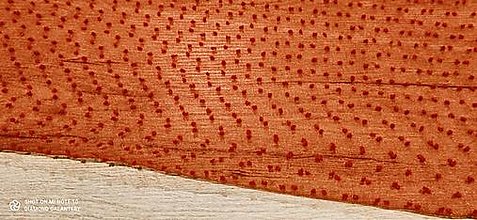 Textil - Tyl guličky - cena za 10 centimetrov (Červená) - 14161659_