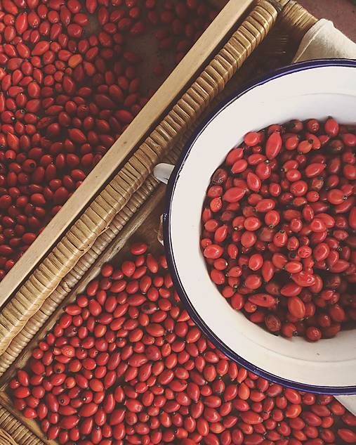 Jablkový nektár so šípkami