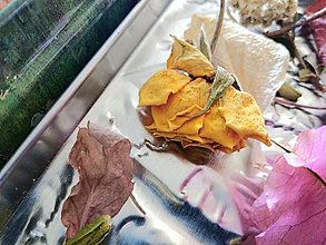 Suroviny - Sušené kvety, sušenie kvetín - 14175788_