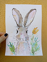 Zajačik - akvarel
