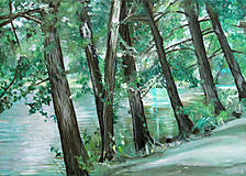 Obrazy - Stromy u vody - olejomalba na plátně - 14182009_