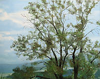 Obrazy - Strom v Hluboké - olejomalba na plátně - 14182266_