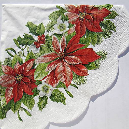 Papier - Servítka Z 60 b - 14198515_
