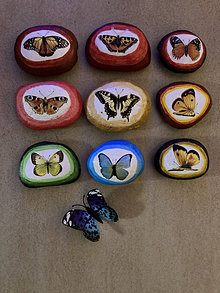 Dekorácie - Kamene - Motýlia farma - 14213697_