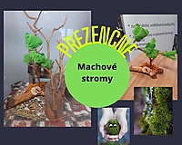 Kurzy - Kurz výroby - Machový strom - 14228268_