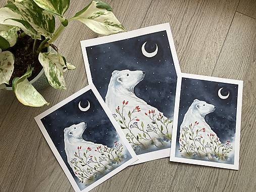 Grafika - Print Indigo - Ľadový medveď - 14225549_