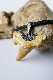 Pánske šperky - Amulet - Fosílny žraločí zub - 14234936_
