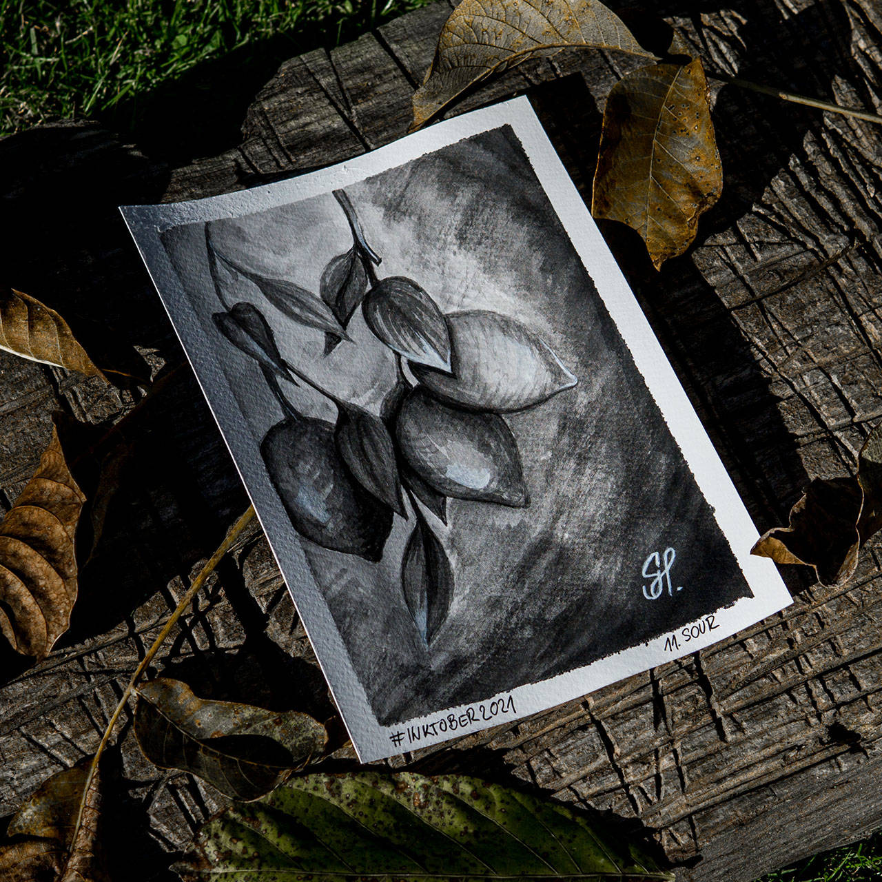 Ilustrácia: Kyslý (Obrázok v pasparte)