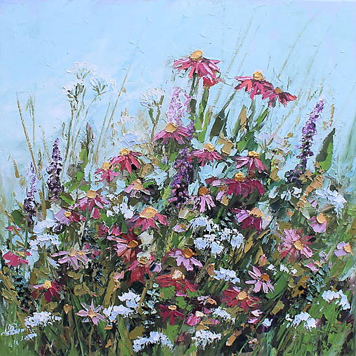 Obrazy - Záhon echinaceí - 14268228_