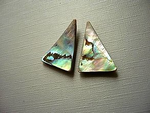 Minerály - Pár kabošonů - paua mušle 24 mm, č.11f - 14291558_