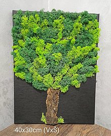 Obrazy - Machový obraz "Strom" na plátne, 40x30cm - 14307060_
