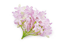Polotovary - Umelý kvet hortenzie - 14317674_