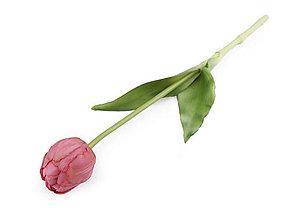 Polotovary - Umelý tulipán (staroružová) - 14319629_