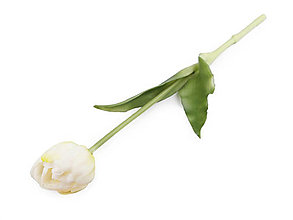 Polotovary - Umelý tulipán (biela) - 14319641_