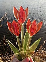Dekorácie - Červený sklenený tulipán - 14322975_