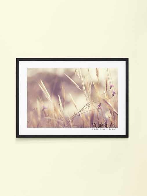 Fotografie - Photo Art| Suchá tráva a fialová kvietka| 03 - 14322971_