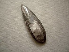 Minerály - Orthoceras 49 mm, č.58f - 14322968_