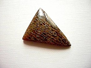 Minerály - Kabošon - dinosauří kost 30 mm, č.2f - 14328864_