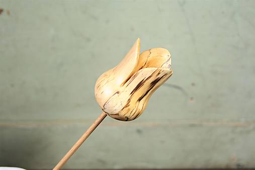 Tulipán z brezového spaltovaného dreva